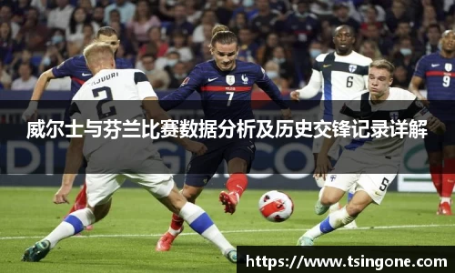 威尔士与芬兰比赛数据分析及历史交锋记录详解