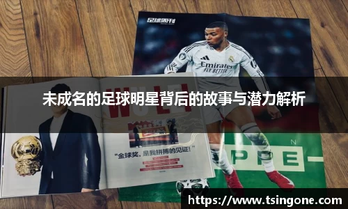 k1十年体育品牌