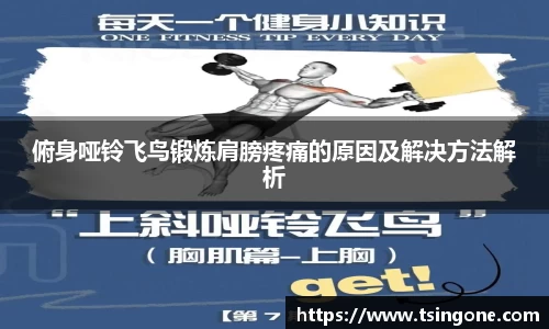 k1十年体育品牌
